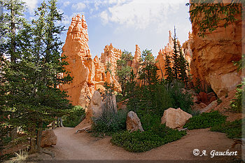 Auf dem Navajo Loop Trail